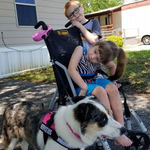 Meet your Posher, Stepheny